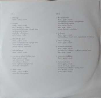 LP Daniel Martin Moore: Stray Age