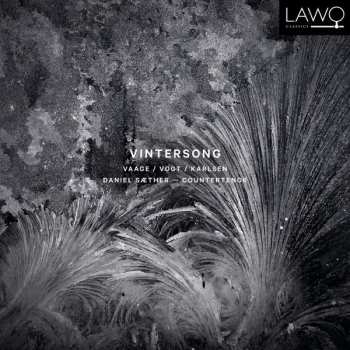 Album Daniel Sæther: Vintersong 
