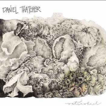 Album Daniel Thatcher: Waterwheel