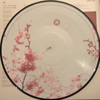 LP Daria Zawiałow: Wojny I Noce = 戦争と夜 PIC