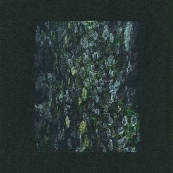Album Dark Sky: The Walker / Kilter (Remixes)