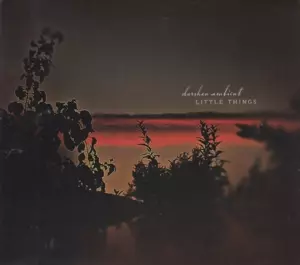 Darshan Ambient: Little Things