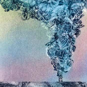 CD Daughn Gibson: Carnation
