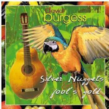Album David Burgess: Silver Nuggets & Fool's Gold