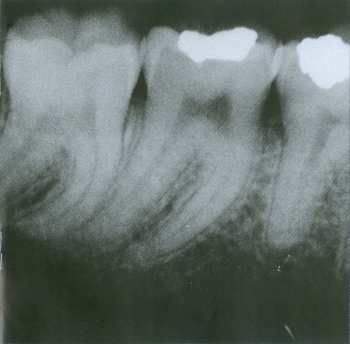 CD David Byrne: David Byrne