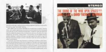 CD David "Fathead" Newman: The Sound Of The Wide Open Spaces ! + Straight Ahead