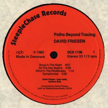 LP David Friesen: Paths Beyond Tracing