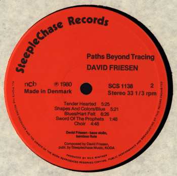 LP David Friesen: Paths Beyond Tracing