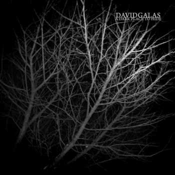 Album David Galas: A Dark Place To Hide