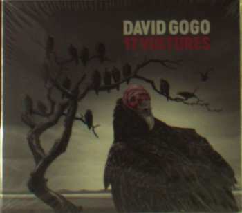 Album David Gogo: 17 Vultures