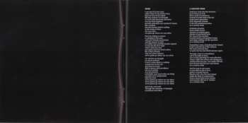 CD David Gray: A Century Ends