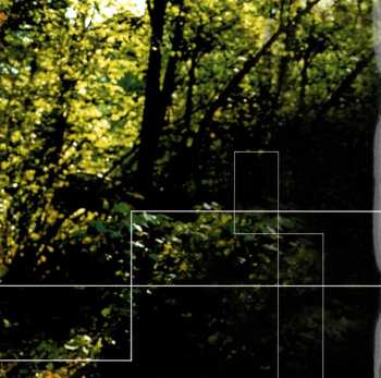 CD David Knopfler: Wishbones