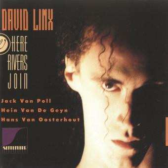 Album David Linx: Where Rivers Join