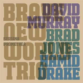 Album Hamid Drake: Seriana Promethea
