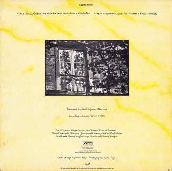 LP David Sylvian: Brilliant Trees