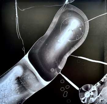 2LP David Sylvian: Camphor II CLR