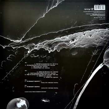 2LP David Sylvian: Camphor II CLR