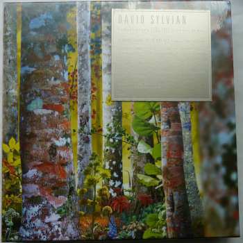 11CD/Dobozkészlet David Sylvian: Samadhisound 2003-2014 Do You Know Me Now?
