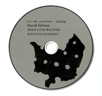 11CD/Dobozkészlet David Sylvian: Samadhisound 2003-2014 Do You Know Me Now?