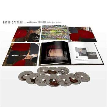 11CD/Dobozkészlet David Sylvian: Samadhisound 2003-2014 Do You Know Me Now?