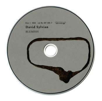 11CD/Dobozkészlet David Sylvian: Samadhisound 2003-2014 Do You Know Me Now?