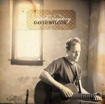 Album David Wilcox: Into The Mystery