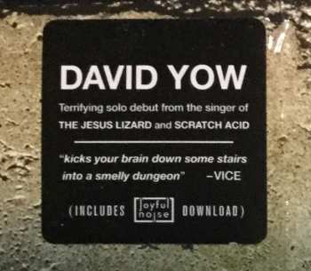 LP David Yow: Tonight You Look Like A Spider