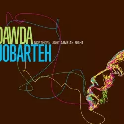 Northern Light Gambian Night