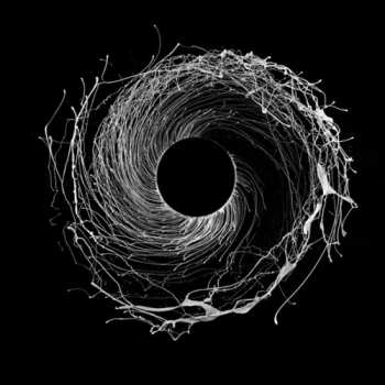 2LP Dawn Of Midi: Dysnomia
