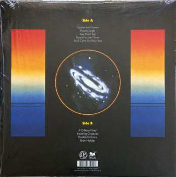 LP Dead Gaze: Brain Holiday