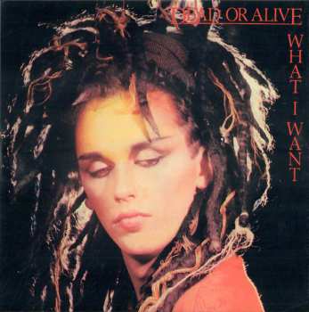 27CD/Dobozkészlet Dead Or Alive: Still Spinnin' - The Singles Collection 1983-2021 LTD