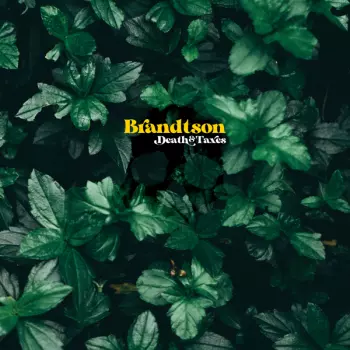 Brandtson: Death & Taxes