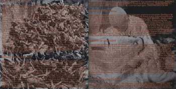 CD Debodified: Utopia In The Eyes Of A Beast