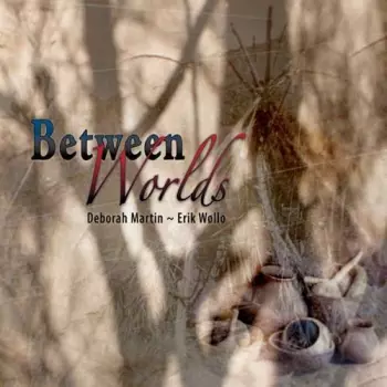 Erik Wøllo: Between Worlds