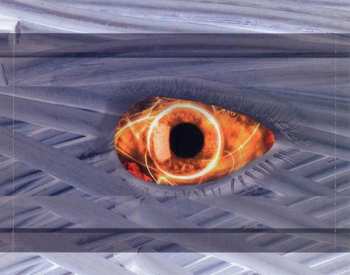 CD Decoded Feedback: Combustion