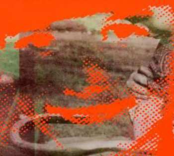 Album Deerhunter: Flourescent Grey