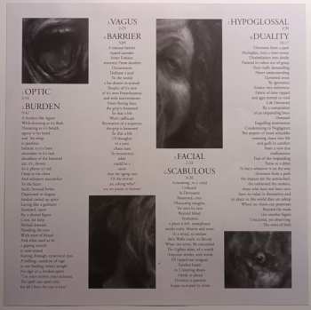 LP Defacement: Duality CLR | LTD