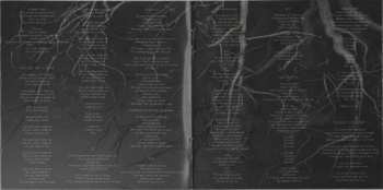CD Delilah: From The Roots Up
