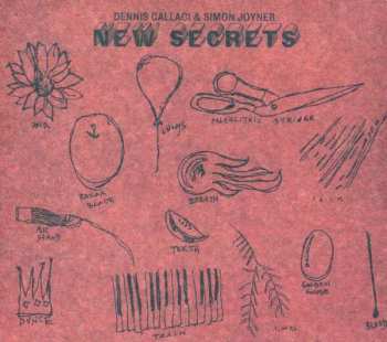 CD Dennis Callaci: New Secrets