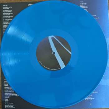 LP Devendra Banhart: Flying Wig CLR | LTD