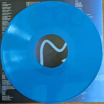 LP Devendra Banhart: Flying Wig CLR | LTD