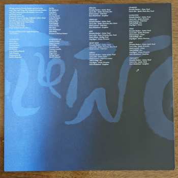 LP Devendra Banhart: Flying Wig CLR | LTD