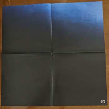 LP Devendra Banhart: Flying Wig CLR | LTD