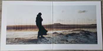 2LP Devil Sold His Soul: Loss LTD | CLR