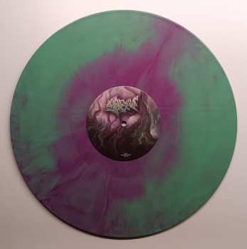 LP Devil's Reef: The Droste Observer