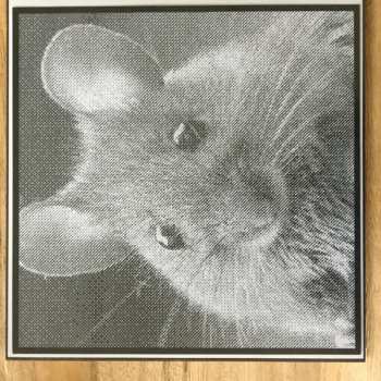 EP Die Mausis: Die Mausis