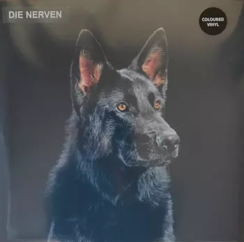 Die Nerven: Die Nerven