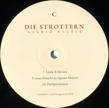 2LP Die Strottern: Waunsd Woadsd