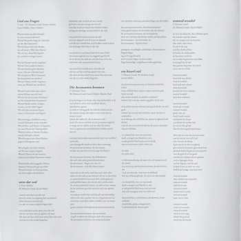 2LP Die Strottern: Waunsd Woadsd