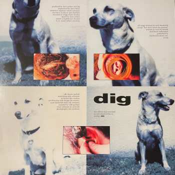 LP Dig: Dig
